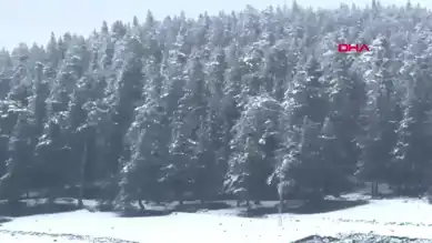 Bolu'da Yüksek Kesimlere Kar Yağdı